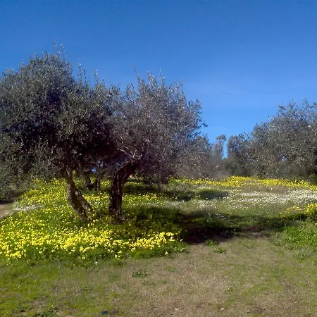 Farm stay Su Livariu
